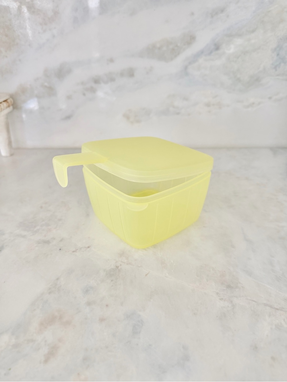 Tupperware slice cheese Storage Container with hinged Lid - Home Organization